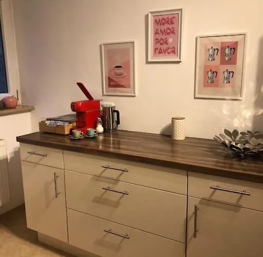 Servus Stadt Blick Lejlighed Passau